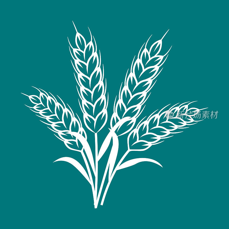 Wheat Plant Ears - Vector